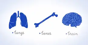 Câncer: animações curtas ensinam sobre as causas e tratamento