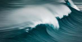 Foto: (Philip Thurston/istock)