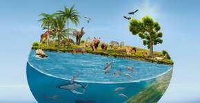 Dia Mundial dos Animais: justiça e compaixão para todas as espécies