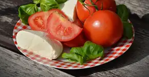Tostada de pasta de ricotta com tomate
