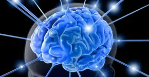 Centro de Psicologia Aplicada UNIP – Clínica Tatuapé