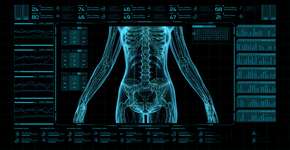 Foto: (ito:Ignatiev/istock)