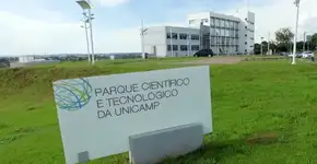 Startup da Unicamp tem vagas para cursos gratuitos com certificação