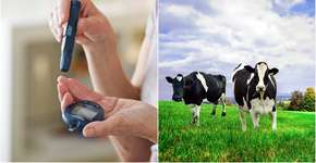 Foto: (imagepointfr/pixelmemoirs/DepositPhotos)