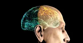 Fatores que diminuem o risco de desenvolver demência precoce