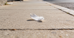 Foto: (Imagem sem texto alternativo disponivel ID [2694756])