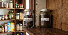 Por que há formigas em casa? O que são, o que as atrai e como se livrar delas?