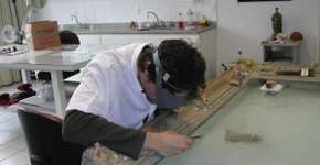 Museu Paulista exibe processos de restauração em obra histórica