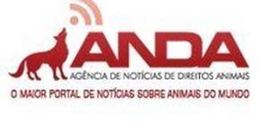 Foto: (Imagem sem texto alternativo disponivel ID [1867049])