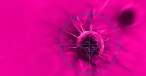 Foto: (iStock/vitanovski)