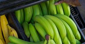 Foto: (Getty Images/iStockphoto)