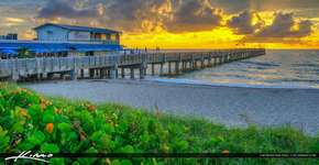 Foto: (Divulgação/The Palm Beaches)