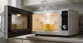 Foto: (Imagem sem texto alternativo disponivel ID [2687032])