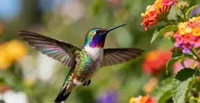 Foto: (Imagem sem texto alternativo disponivel ID [2672121])