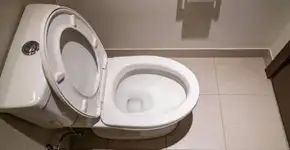 Foto: (Imagem sem texto alternativo disponivel ID [2714635])