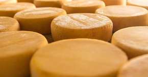 Quiz! Você é bom de Brasil?