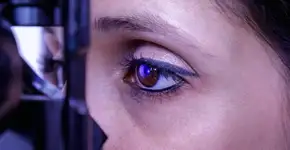 Foto: (Polifoto/DepositPhotos)