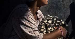 Foto: (Imagem sem texto alternativo disponivel ID [1095330])