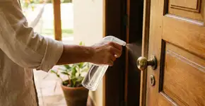 Foto: (Imagem gerada por IA/Gemini)