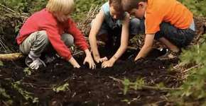 COMO FAZER CINEMA SUSTENTÁVEL?