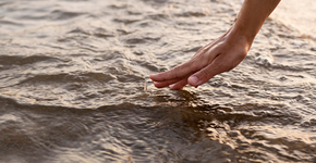 Bactéria “carnívora” chega às praias e preocupa autoridades