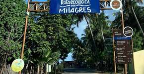 Roteiro de 4 dias pela Rota Ecológica dos Milagres, em Alagoas