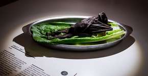 Suécia tem museu dedicado à ‘comida nojenta’