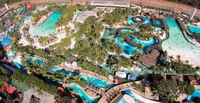 Foto: (Imagem sem texto alternativo disponivel ID [1575025])