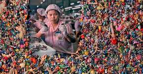 Foto: (Imagem sem texto alternativo disponivel ID [498067])