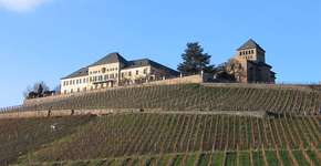 Foto: (Imagem sem texto alternativo disponivel ID [1863956])