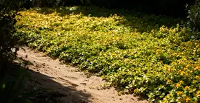 Foto: (Imagem sem texto alternativo disponivel ID [2674210])