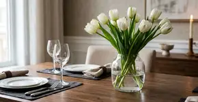 Demorei muito para entender por que na Holanda a tulipa não deve ser deixada perto de frutas para as pétalas não murcharem antes da hora