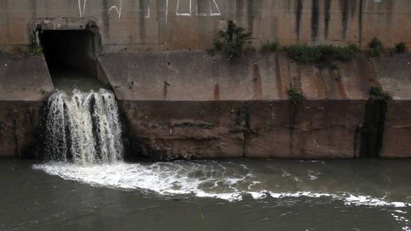 Tamanduateí - reprodução