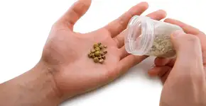 Estas 6 coisas podem te causar pedra nos rins