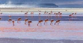 10 destinos imperdíveis na América do Sul