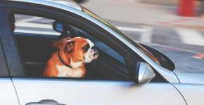 Site oferece 25% de desconto em aluguel de carro