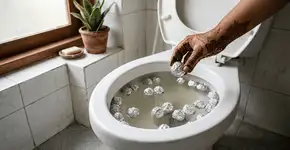 Foto: (Imagem sem texto alternativo disponivel ID [2760517])