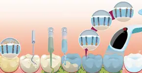 Foto: (Imagem sem texto alternativo disponivel ID [1895486])