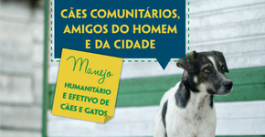 ONG lança cartilha sobre práticas de bem-estar de cães e gatos