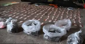 Argentina: cocaína que matou 24 tinha anestésico para elefantes