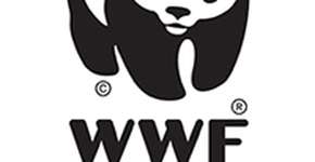 Foto: (Imagem sem texto alternativo disponivel ID [1861413])