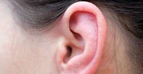 Foto: (Tetiana Kolubai/istock)