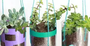 Foto: (Imagem sem texto alternativo disponivel ID [1842724])