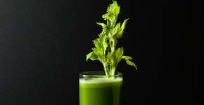 Suco de salsão: veja como fazer a bebida detox que virou febre