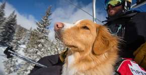 Foto: (Imagem sem texto alternativo disponivel ID [1895174])