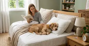 Você deve compartilhar a cama com seu cachorro ou gato?