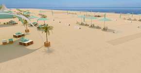 Foto: (Divulgação)