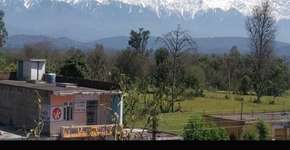 Foto: (Reprodução/Twitter)