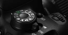 Aprenda como se faz fundos desfocados nas fotos