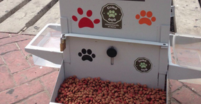 Foto: (Imagem sem texto alternativo disponivel ID [1047349])